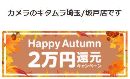 カメラのキタムラ埼玉／坂戸店のソフトバンク光の特典情報